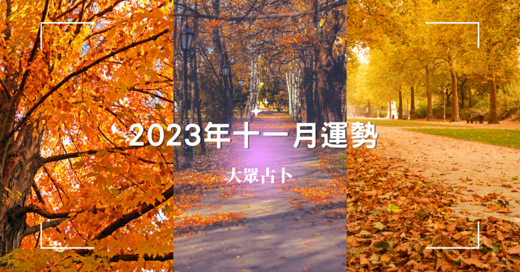 2023年大眾占卜主圖（三選項之集合圖）三種秋景的林間小路